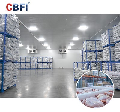 פתרונות אחסון קר פירות ים גדולים של CBFI לדרום מזרח אסיה: הדרך לשימור מעולה באקלים טרופי